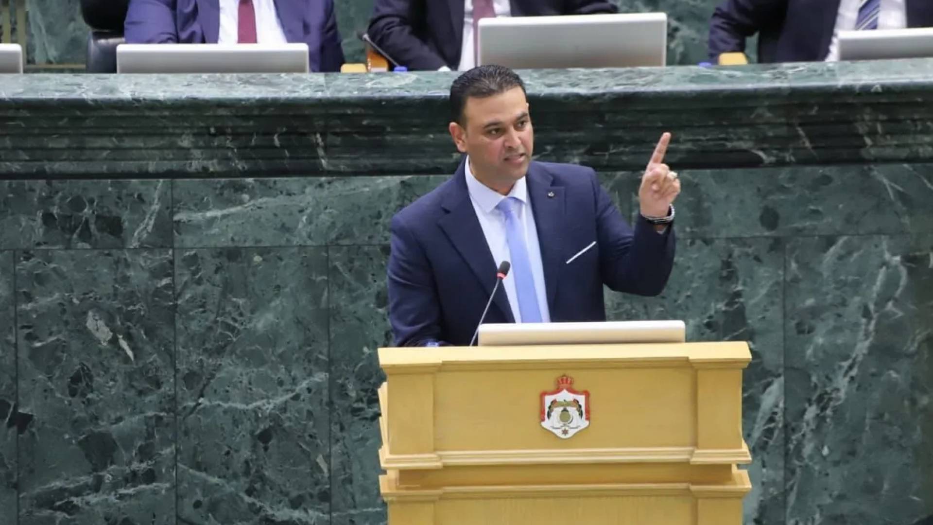 النائب الدكتور وليد المصري