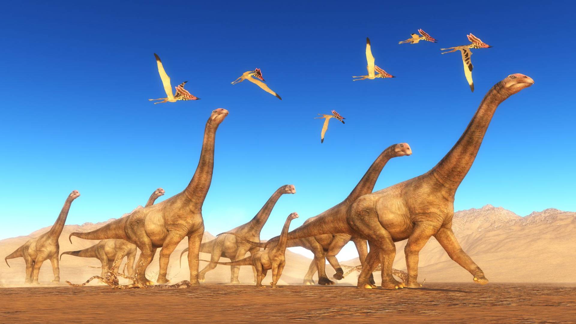 استكشاف مسار "الديناصورات" في الصفاحة بالأردن لتعزيز سياحة المغامرة