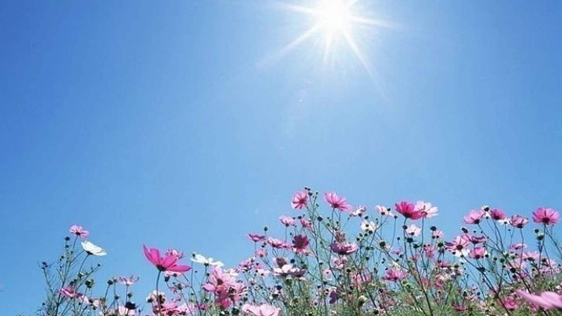 طقس مشمس "تعبيرية"