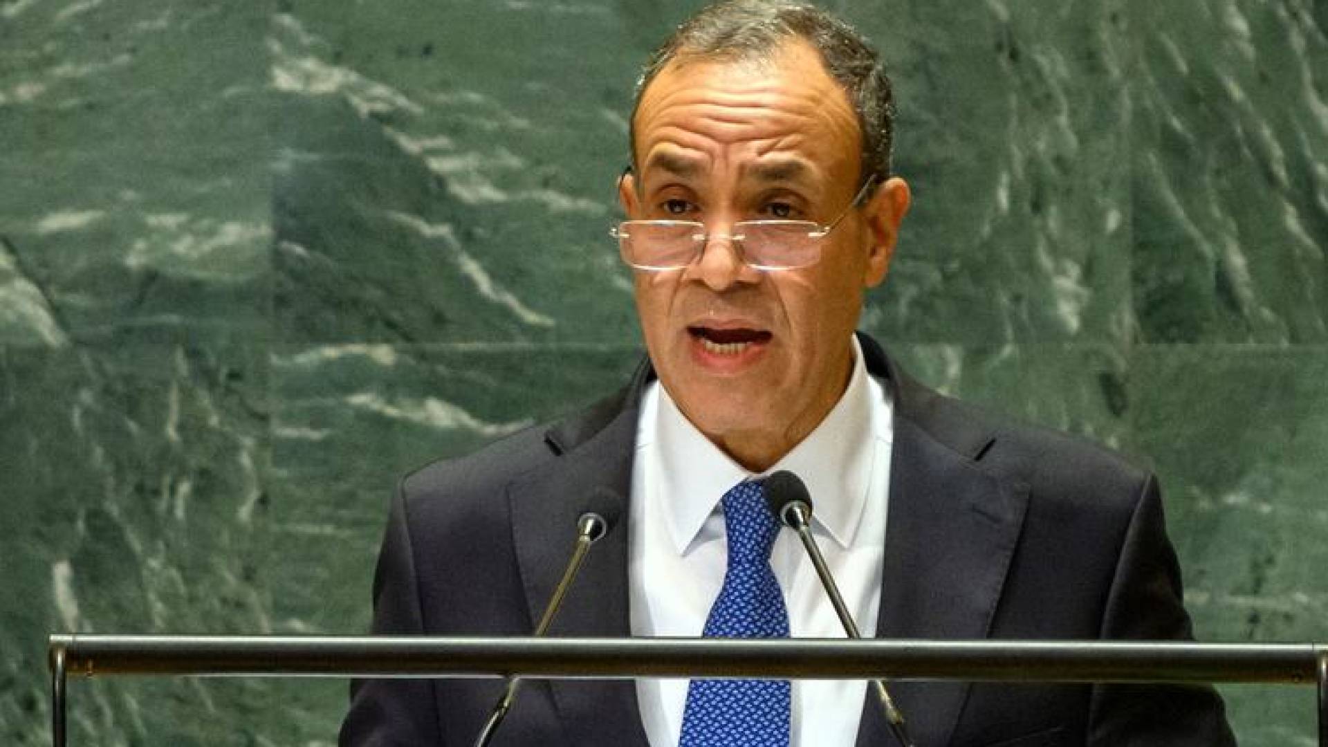 بدر عبدالعاطي وزير الخارجية المصري