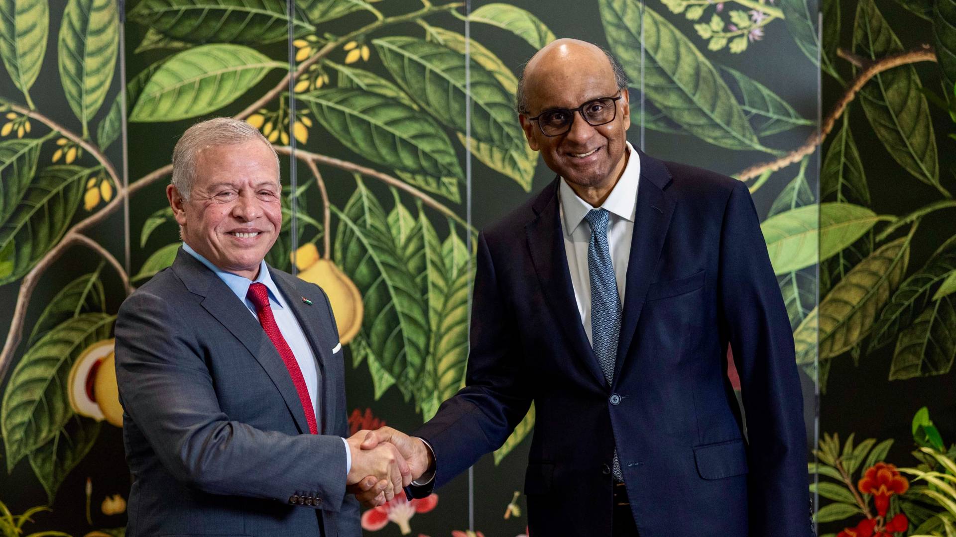 الملك عبدﷲ الثاني والرئيس السنغافوري ثارمان شانموغاراتنام