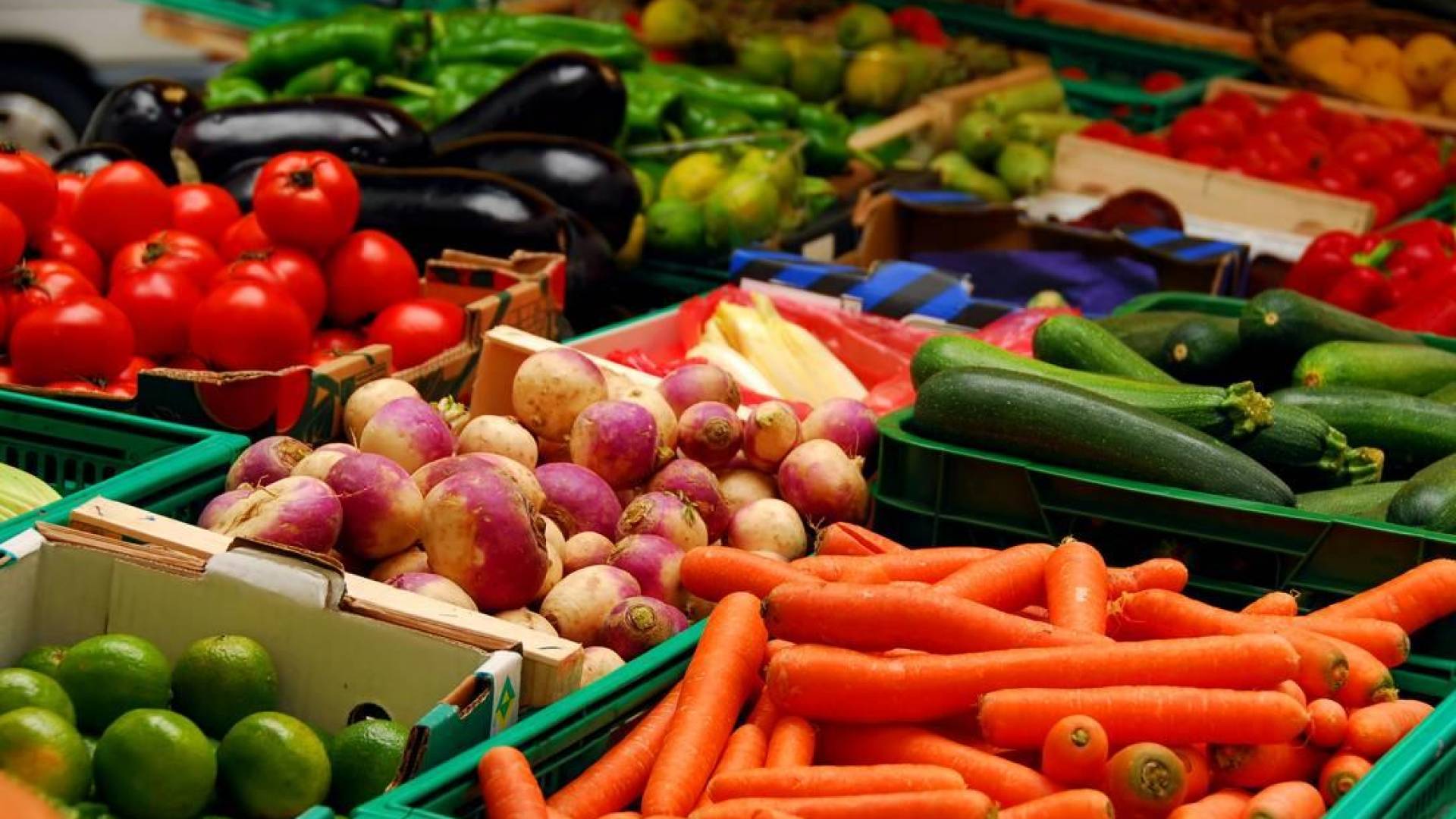 خضراوات ..ارشيفية