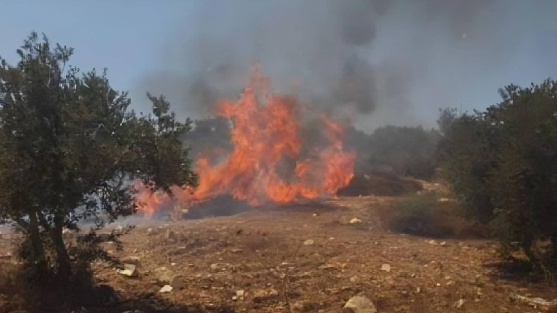 حرق أراضي زراعية شمال مدينة رام الله من قبل المستوطنين