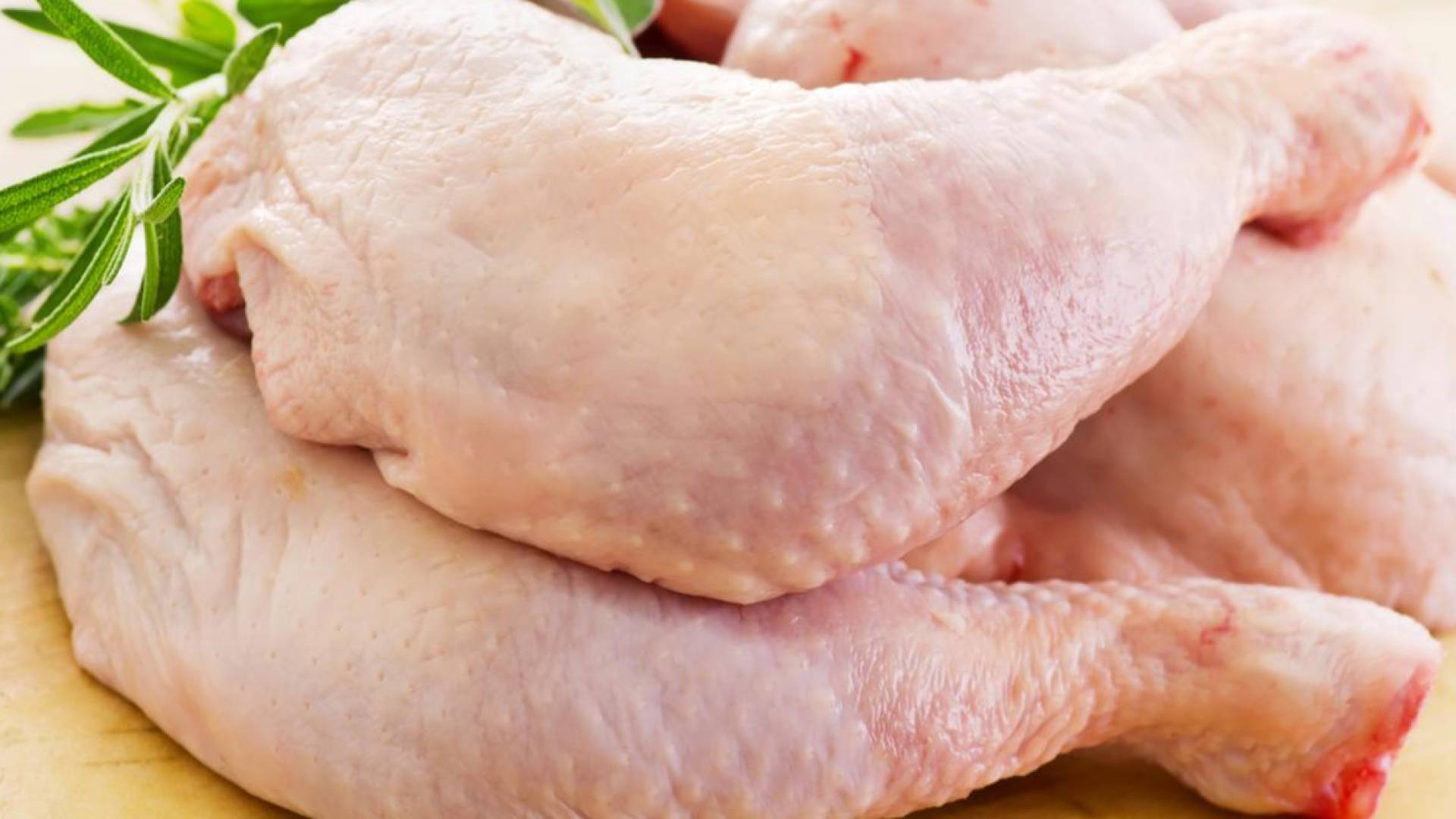 دجاج .. تعبيرية