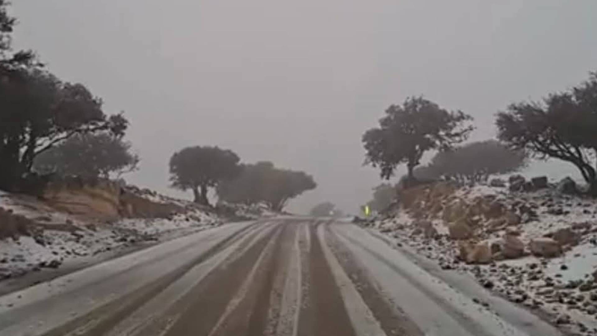 الثلوج في الشوبك