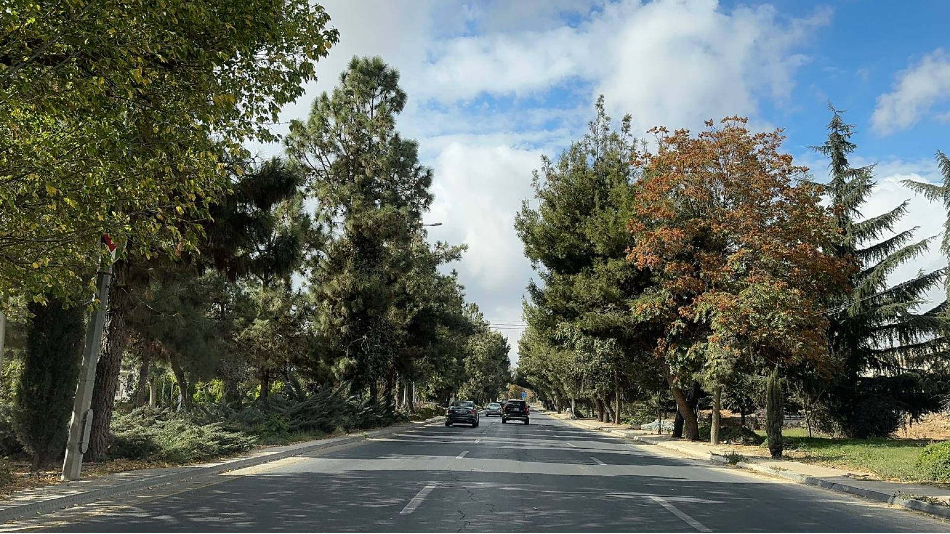 احدى شوارع العاصمة عمان