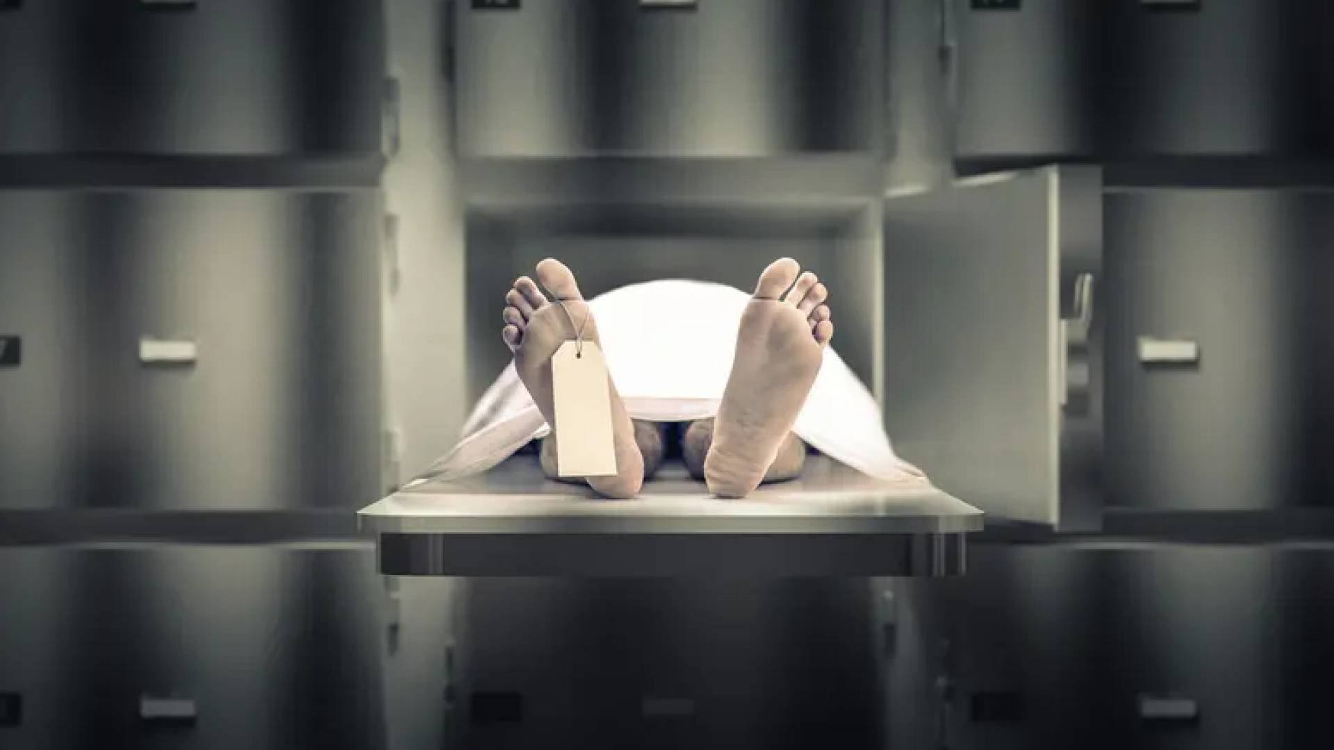 جثة .. توضيحية