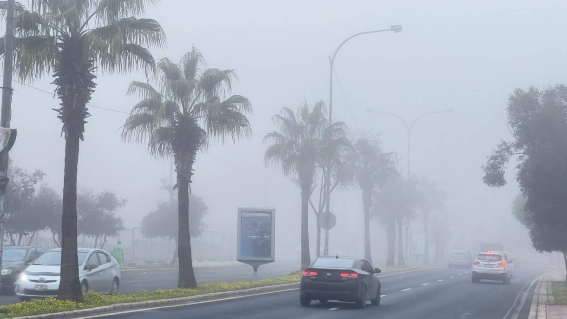 ضباب كثيف في الأردن