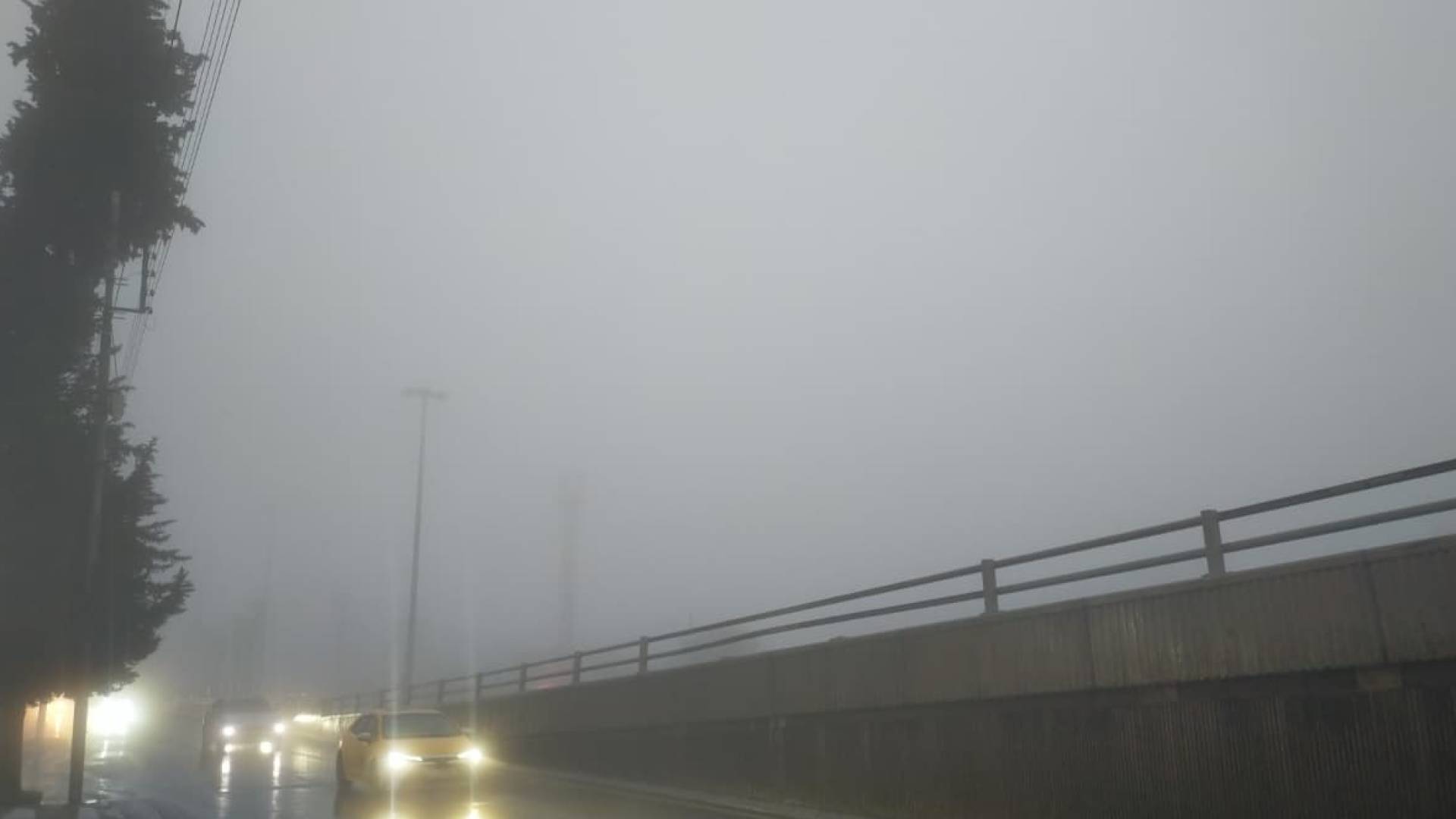 تشكل الضباب في الأردن