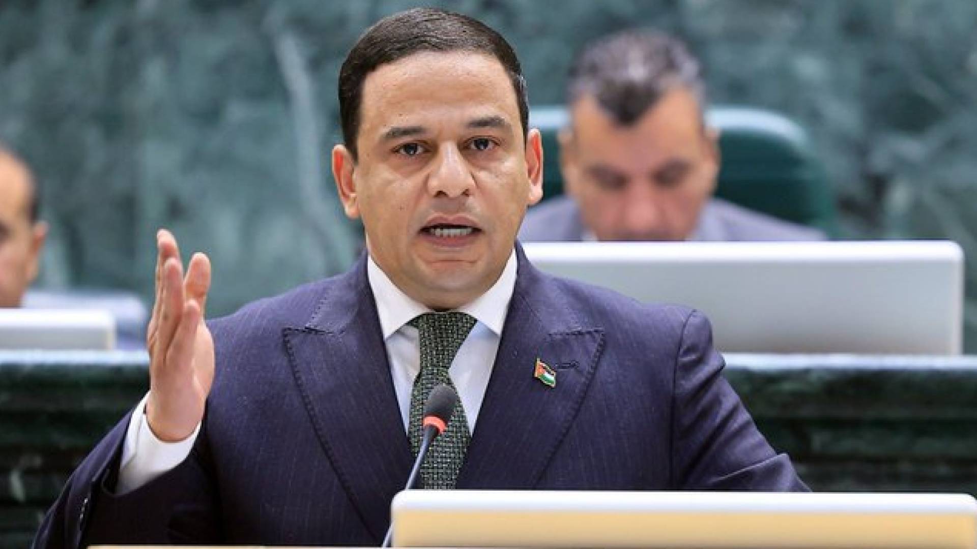 رئيس لجنة الطاقة والثروة المعدنية النيابية، أيمن أبو هنية